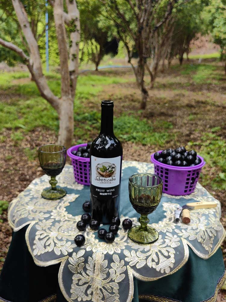 雲霧醇釀嘉寶果酒